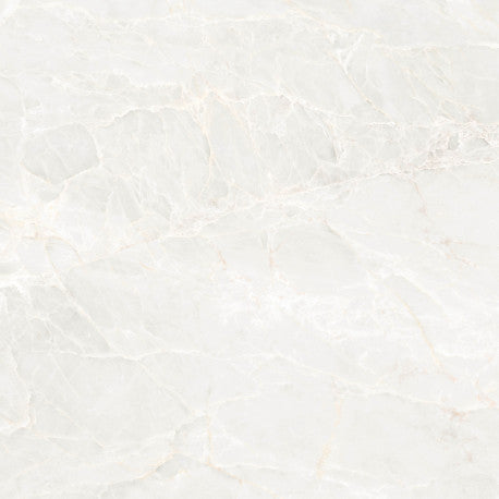 albus-white-glossy-120x120