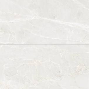 avenue-chiffon-glossy-60x120